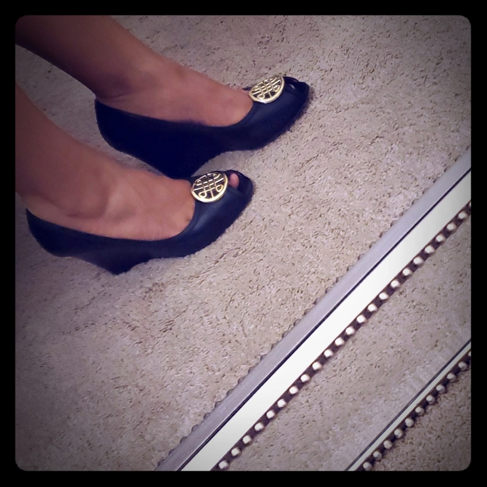 Maybe blue wedges with gold emblem